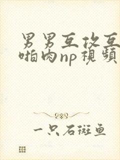 男男互攻互受h啪肉np视频