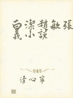 白洁赵敏张倩高义小说封面