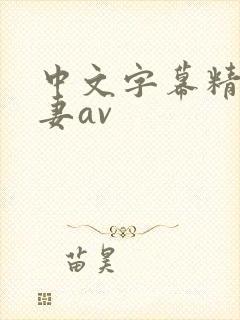 中文字幕精品人妻av封面