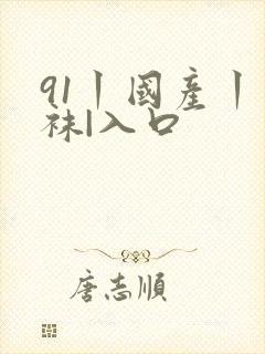 91丨国产丨丝袜|入口