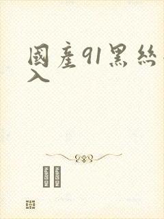 国产91黑丝后入