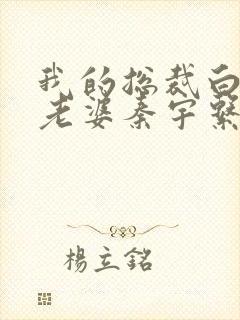 我的总裁白富美老婆秦宇系列小说