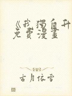 《我独自升级》免费漫画封面