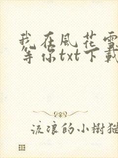 我在风花雪月里等你txt下载全文