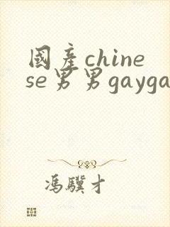 国产chinese男男gaygay视频网站