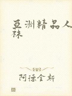 亚洲精品人妻丝袜