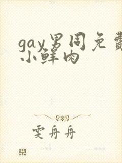 gay男同免费小鲜肉