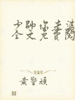 少帅你老婆跑了全文免费阅读