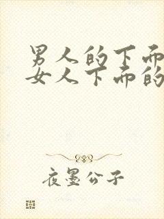 男人的下面插进女人下面的视频