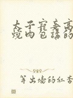 太子宠妾高肉红烧肉包讲的什么