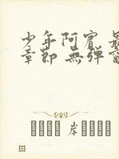 少年阿宾 最新章节 无弹窗