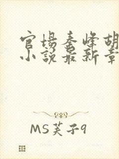 官场秦峰胡佳云小说最新章节内容