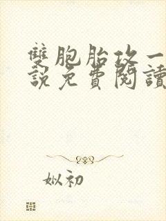 双胞胎攻一受小说免费阅读