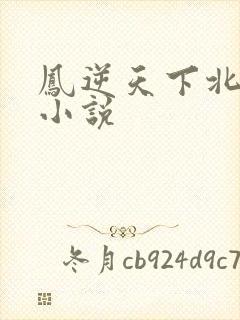 凤逆天下北月篇小说