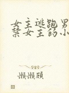 女主逃跑男主囚禁女主的小说