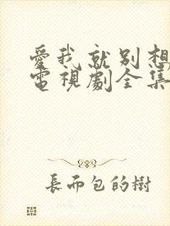 爱我就别想太多电视剧全集免费观看