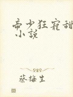 帝少狂宠甜蜜妻 小说