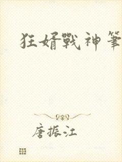 狂婿战神笔趣阁