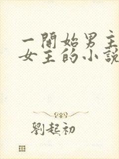 一开始男主想杀女主的小说封面