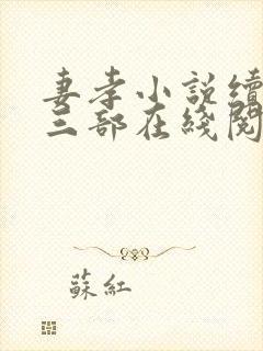 妻孝小说续写第三部在线阅读封面