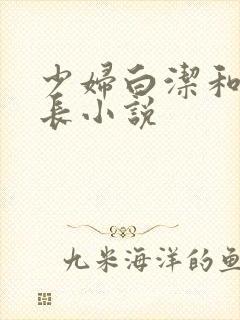 少妇白洁和高校长小说封面