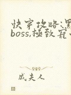 快穿攻略:黑化boss,极致宠七片封面