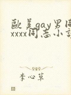欧美gay男同xxxx同志小说封面