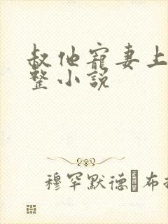 叔他宠妻上瘾完整小说封面