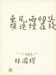 东风雨40集电视连续在线直播