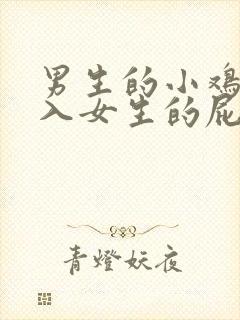 男生的小鸡鸡插入女生的屁股里视频