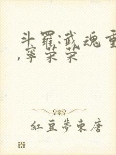 斗罗:武魂重瞳,宁荣荣