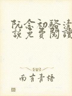 阮念初骆清珩小说免费阅读