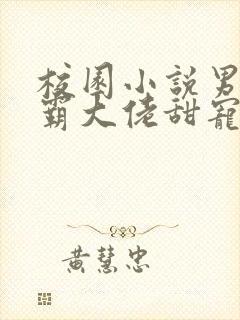 校园小说男主校霸大佬甜宠文封面