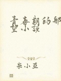 青春期的那些欲望小说封面