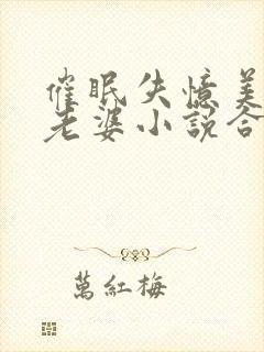 催眠失忆美母变老婆小说合法