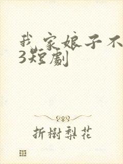 我家娘子不对劲3短剧