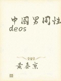 中国男同性videos
