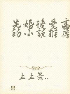 先婚后爱高干文的小说推荐