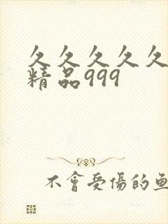 久久久久久国产精品999封面