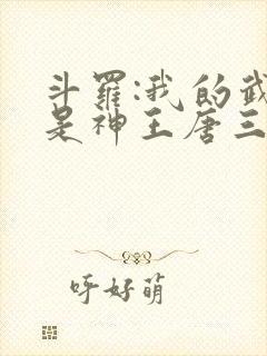 斗罗:我的武魂是神王唐三