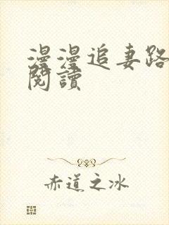 漫漫追妻路全文阅读封面