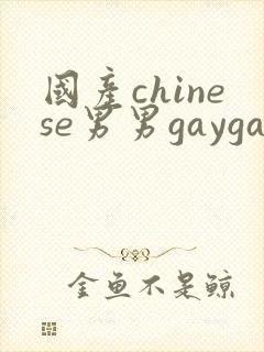 国产chinese男男gaygay网址