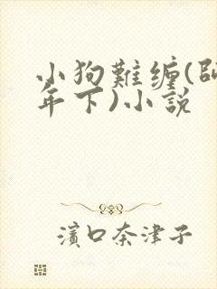 小狗难缠(师生年下)小说