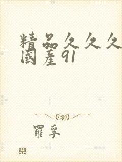 精品久久久久久国产91