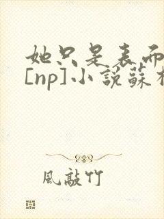 她只是表面清纯[np]小说苏棉