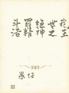 斗罗绝世我霍雨浩精神之主笔趣阁封面