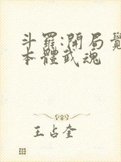 斗罗:开局觉醒本体武魂封面