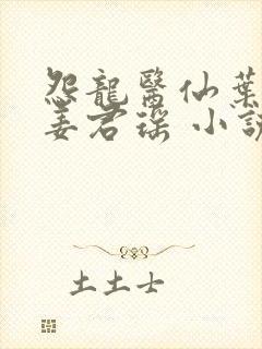 怨龙医仙叶楚,姜君瑶 小说封面