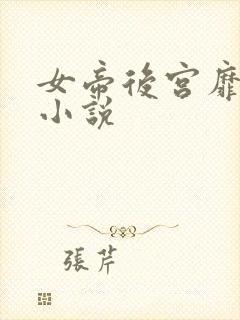 女帝后宫靡乱史小说