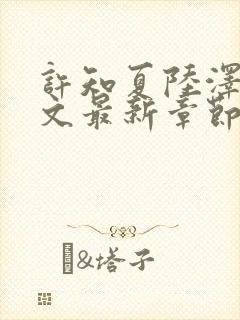 许知夏陆泽言全文最新章节免费阅读封面